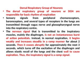 respiration notes.pdf
