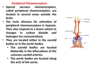 respiration notes.pdf