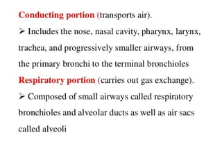 respiration notes.pdf