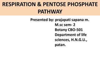 RESPIRATION & PENTOSE PHOSPHATE
PATHWAY
Presented by: prajapati sapana m.
M.sc sem- 2
Botany CBO-501
Department of life
sciences, H.N.G.U.,
patan.
 