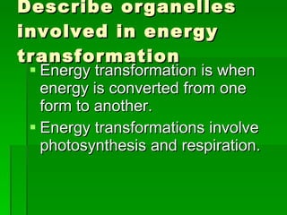 Respiration & photosynthesis | PPT