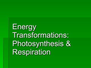Energy Transformations: Photosynthesis & Respiration 