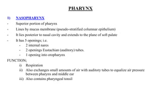 PHARYNX
1) NASOPHARYNX
- Superior portion of pharynx
- Lines by mucus membrane (pseudo-stratified columnar epithelium)
- It lies posterior to nasal cavity and extends to the plane of soft palate
- It has 5 openings; i.e.
- 2 internal nares
- 2 openings Eustachian (auditory) tubes.
- 1 opening into oropharynx
FUNCTION;
i) Respiration
ii) Also exchanges small amounts of air with auditory tubes to equalize air pressure
between pharynx and middle ear
iii) Also contains pharyngeal tonsil
 