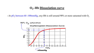 O2–Hb Dissociation curve
- At pO2 between 60 -100mmHg, oxy-Hb is still around 90% or more saturated with O2
 
