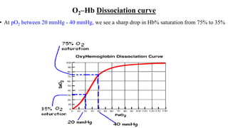 O2–Hb Dissociation curve
• At pO2 between 20 mmHg - 40 mmHg, we see a sharp drop in Hb% saturation from 75% to 35%
 