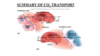 SUMMARY OF CO2 TRANSPORT
 