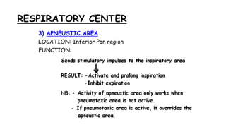 RESPIRATORY CENTER
3) APNEUSTIC AREA
LOCATION: Inferior Pon region
FUNCTION:
 