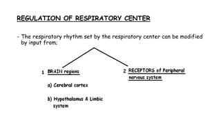 REGULATION OF RESPIRATORY CENTER
- The respiratory rhythm set by the respiratory center can be modified
by input from;
 