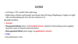 LUNGS
- Left lung is 10% smaller than right lung
- Right lung is thicker and broader and shorter than left lung (Diaphragm is higher on right
side accommodating the liver the lies inferior to it)
BLOOD SUPPLY
• Arteries
- Oxygenated blood enters via bronchial arteries (branch of descending aorta) supplies
muscular walls of bronchi and bronchioles
- Deoxygenated blood enters lungs via pulmonary arteries
• Veins
- Four pulmonary veins
 