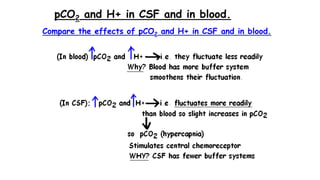 pCO2 and H+ in CSF and in blood.
Compare the effects of pCO2 and H+ in CSF and in blood.
 