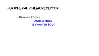 PERIPHERAL CHEMORECEPTOR
- There are 2 types;
i) AORTIC BODY
ii) CAROTID BODY
 