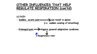 OTHER INFLUENCES THAT HELP
REGULATE RESPIRATION (con’td)
 