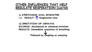 OTHER INFLUENCES THAT HELP
REGULATE RESPIRATION (con’td)
 