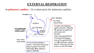 EXTERNAL RESPIRATION
At pulmonary capillary – O2 is taken-up by the pulmonary capillary.
PULMONARY
CAPILLARY
 