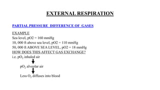 EXTERNAL RESPIRATION
PARTIAL PRESSURE DIFFERENCE OF GASES
EXAMPLE
Sea level, pO2 = 160 mmHg
10, 000 ft above sea level, pO2 = 110 mmHg
50, 000 ft ABOVE SEA LEVEL, pO2 = 18 mmHg
HOW DOES THIS AFFECT GAS EXCHANGE?
i.e. pO2 inhaled air
pO2 alveolar air
Less O2 diffuses into blood
 