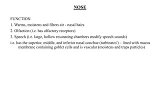 NOSE
FUNCTION
1. Warms, moistens and filters air - nasal hairs
2. Olfaction (i.e. has olfactory receptors)
3. Speech (i.e. large, hollow resonating chambers modify speech sounds)
i.e. has the superior, middle, and inferior nasal conchae (turbinates') – lined with mucus
membrane containing goblet cells and is vascular (moistens and traps particles)
 