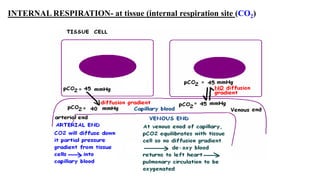 INTERNAL RESPIRATION- at tissue (internal respiration site (CO2)
 