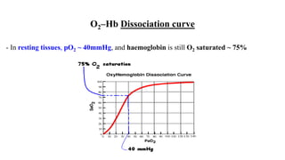 O2–Hb Dissociation curve
- In resting tissues, pO2 ~ 40mmHg, and haemoglobin is still O2 saturated ~ 75%
 