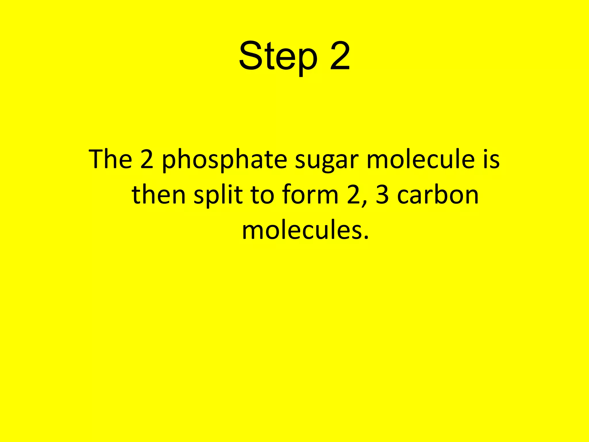 Step 2The 2 phosphate sugar molecule is then split to form 2, 3 carbon molecules.