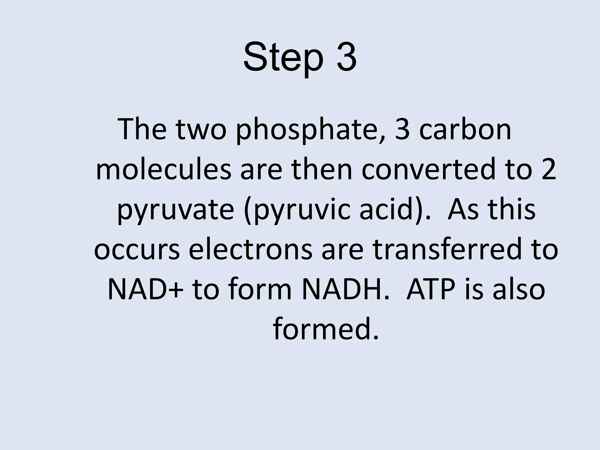 Step 3The two phosphate, 3 carbon molecules are then converted to 2 pyruvate (pyruvic acid).  As this occurs electrons are transferred to NAD+ to form NADH.  ATP is also formed.