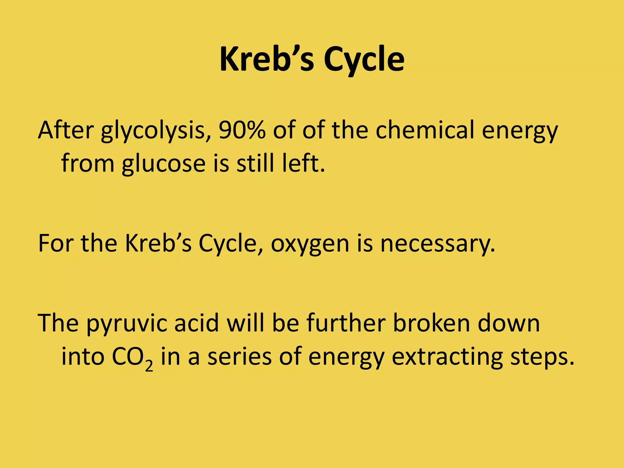Kreb’s CycleAfter glycolysis, 90% of of the chemical energy from glucose is still left.For the Kreb’s Cycle, oxygen is necessary.The pyruvic acid will be further broken down into CO2 in a series of energy extracting steps.