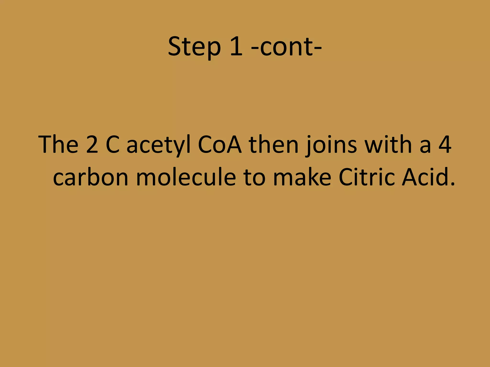 Step 1 -cont-The 2 C acetyl CoA then joins with a 4 carbon molecule to make Citric Acid.