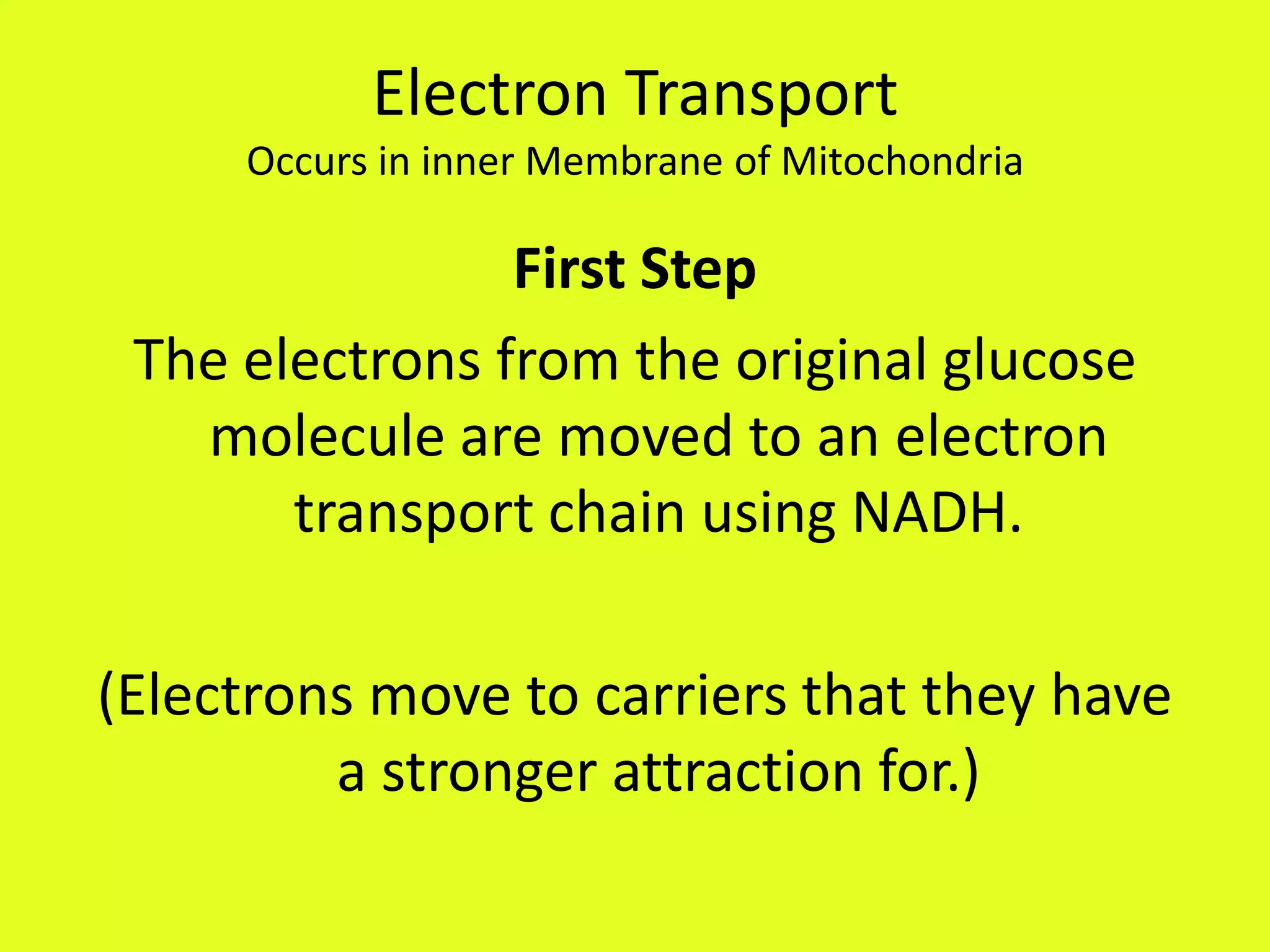 Electron TransportOccurs in inner Membrane of MitochondriaFirst StepThe electrons from the original glucose molecule are moved to an electron transport chain using NADH.(Electrons move to carriers that they have a stronger attraction for.)