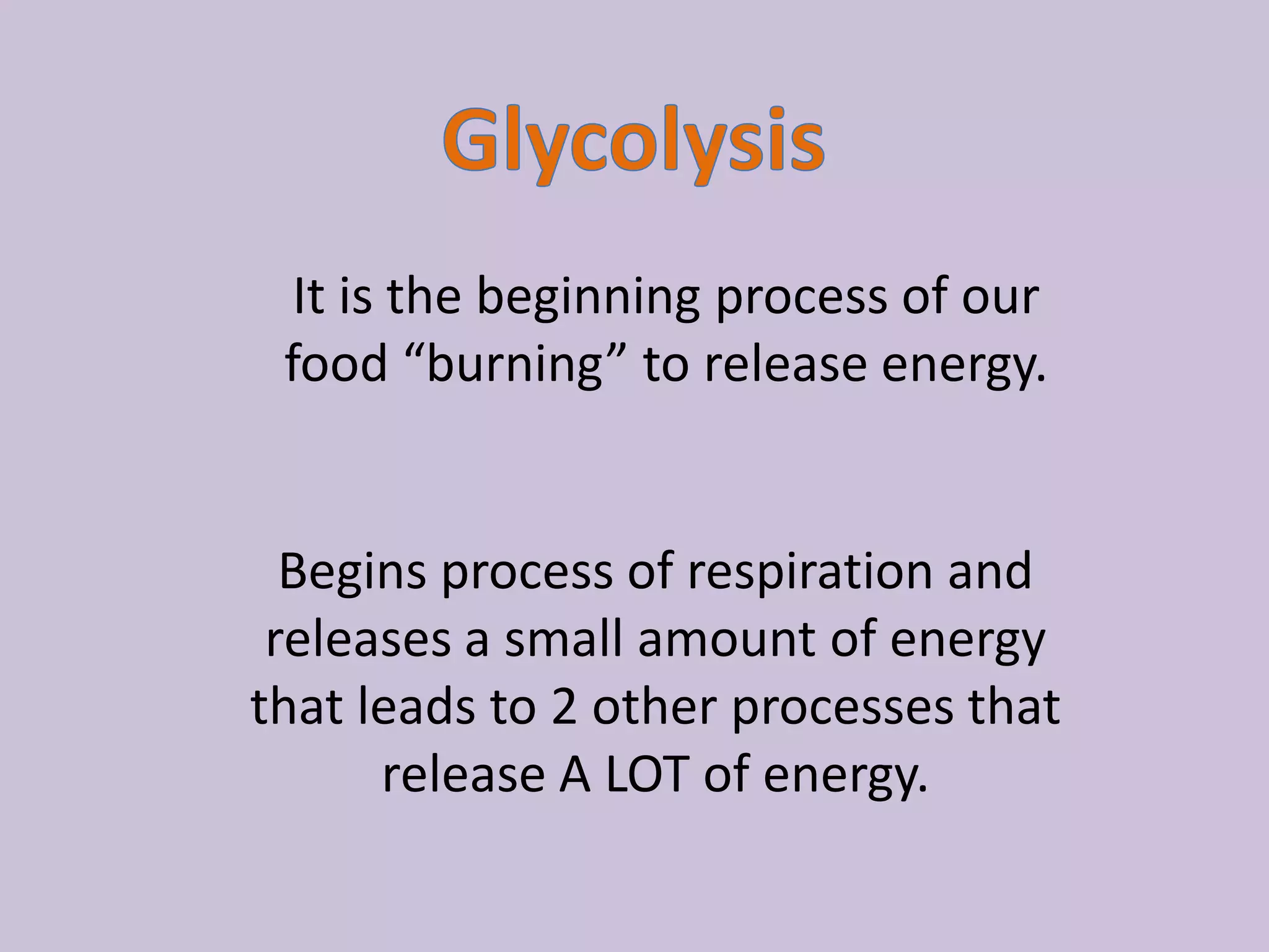 GlycolysisIt is the beginning process of our food “burning” to release energy.Begins process of respiration and releases a small amount of energy that leads to 2 other processes that release A LOT of energy.