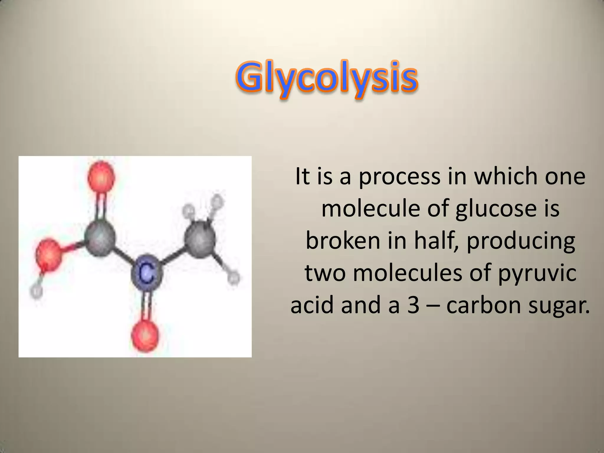 GlycolysisIt is a process in which one molecule of glucose is broken in half, producing two molecules of pyruvic acid and a 3 – carbon sugar.