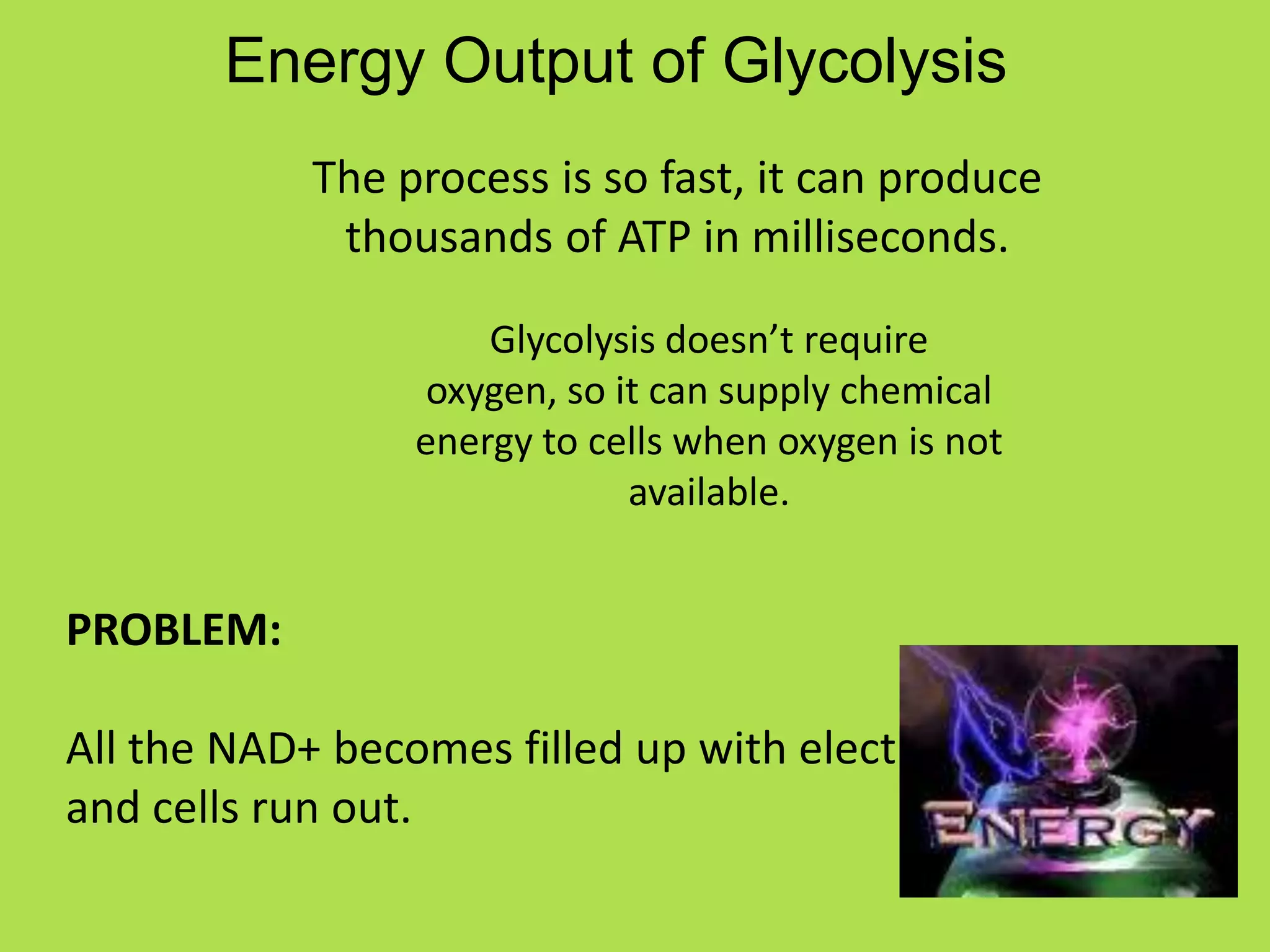 Energy Output of GlycolysisThe process is so fast, it can produce thousands of ATP in milliseconds.Glycolysis doesn’t require oxygen, so it can supply chemical energy to cells when oxygen is not available.PROBLEM: All the NAD+ becomes filled up with electrons and cells run out.