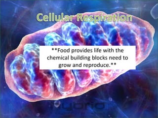 Cellular Respiration **Food provides life with the chemical building blocks need to grow and reproduce.** 