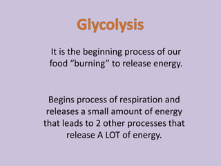 Respiration powerpoint | PPTX