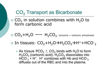 CO2 Transport as Bicarbonate
CO2 in solution combines with H2O to
form carbonic acid

CO2+H2O           H2CO3   (enzyme = carbonic anhydrase)


In tissues: CO2+H2O H2CO3 H++HCO-3

  As tissue PCO2 ↑, CO2 binds with H2O to form
  H2CO3 (carbonic acid). H2CO3 dissociates into
  HCO-3 + H+. H+ combines with Hb and HCO-3
  diffuses out of the RBC and into the plasma.
 
