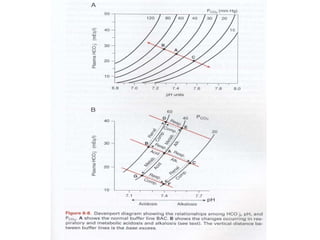 Respiration powerpoint
