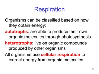 2
Respiration
Organisms can be classified based on how
they obtain energy:
autotrophs: are able to produce their own
organic molecules through photosynthesis
heterotrophs: live on organic compounds
produced by other organisms
All organisms use cellular respiration to
extract energy from organic molecules.
 
