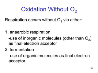 38
Oxidation Without O2
Respiration occurs without O2 via either:
1. anaerobic respiration
-use of inorganic molecules (other than O2)
as final electron acceptor
2. fermentation
-use of organic molecules as final electron
acceptor
 
