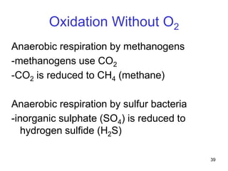39
Oxidation Without O2
Anaerobic respiration by methanogens
-methanogens use CO2
-CO2 is reduced to CH4 (methane)
Anaerobic respiration by sulfur bacteria
-inorganic sulphate (SO4) is reduced to
hydrogen sulfide (H2S)
 