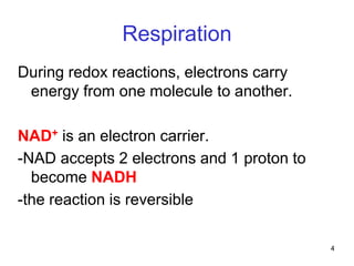4
Respiration
During redox reactions, electrons carry
energy from one molecule to another.
NAD+ is an electron carrier.
-NAD accepts 2 electrons and 1 proton to
become NADH
-the reaction is reversible
 