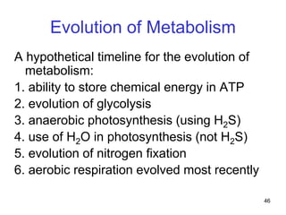 46
Evolution of Metabolism
A hypothetical timeline for the evolution of
metabolism:
1. ability to store chemical energy in ATP
2. evolution of glycolysis
3. anaerobic photosynthesis (using H2S)
4. use of H2O in photosynthesis (not H2S)
5. evolution of nitrogen fixation
6. aerobic respiration evolved most recently
 
