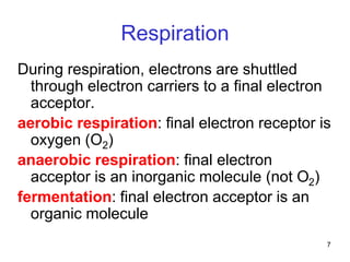 7
Respiration
During respiration, electrons are shuttled
through electron carriers to a final electron
acceptor.
aerobic respiration: final electron receptor is
oxygen (O2)
anaerobic respiration: final electron
acceptor is an inorganic molecule (not O2)
fermentation: final electron acceptor is an
organic molecule
 