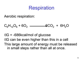 9
Respiration
Aerobic respiration:
C6H12O6 + 6O2 6CO2 + 6H2O
G = -686kcal/mol of glucose
G can be even higher than this in a cell
This large amount of energy must be released
in small steps rather than all at once.
 