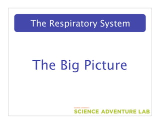 The Respiratory System



The Text Here
    Big Picture
 