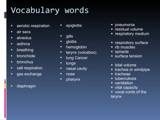Vocabulary words <ul><li>aerobic respiration </li></ul><ul><li>air sacs </li></ul><ul><li>alveolus </li></ul><ul><li>asthm...