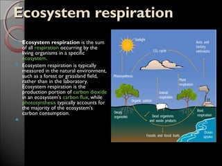 Respiration presentation | PPT