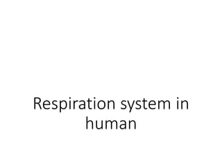 Respiration system in
human
 