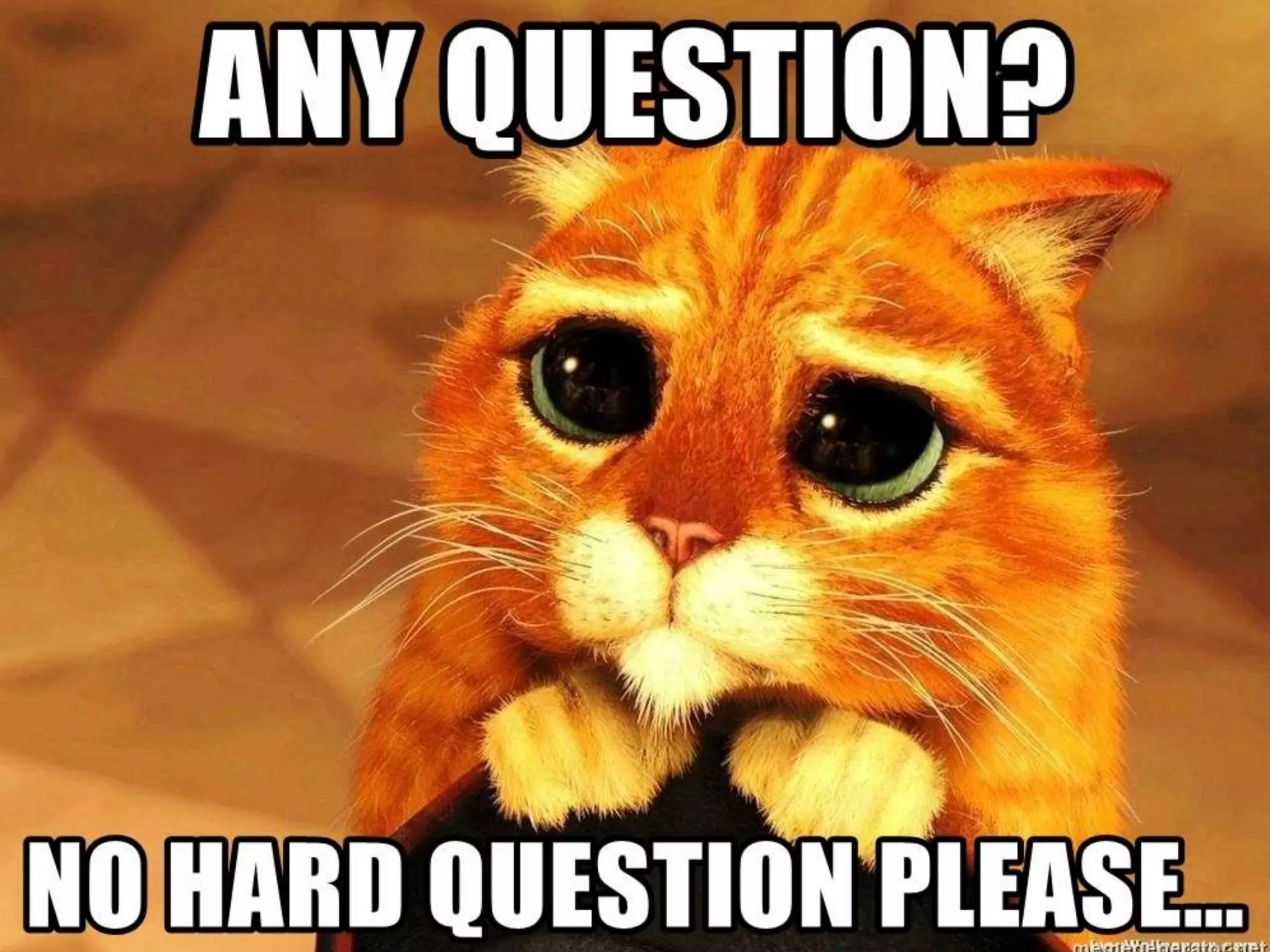 Respiration system in insects