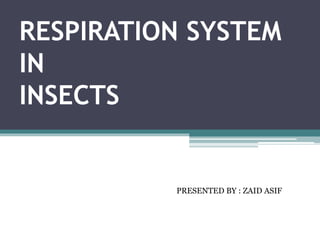 RESPIRATION SYSTEM
IN
INSECTS
PRESENTED BY : ZAID ASIF
 