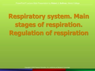 Copyright © 2003 Pearson Education, Inc. publishing as Benjamin Cummings.
Respiratory system. Main
stages of respiration.
Regulation of respiration
PowerPoint® Lecture Slide Presentation by Robert J. Sullivan, Marist College
 