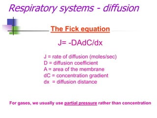 Respiration theory class lecture.ppt