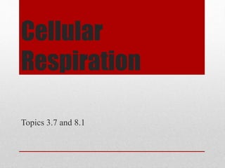 Cellular
Respiration
Topics 3.7 and 8.1
 